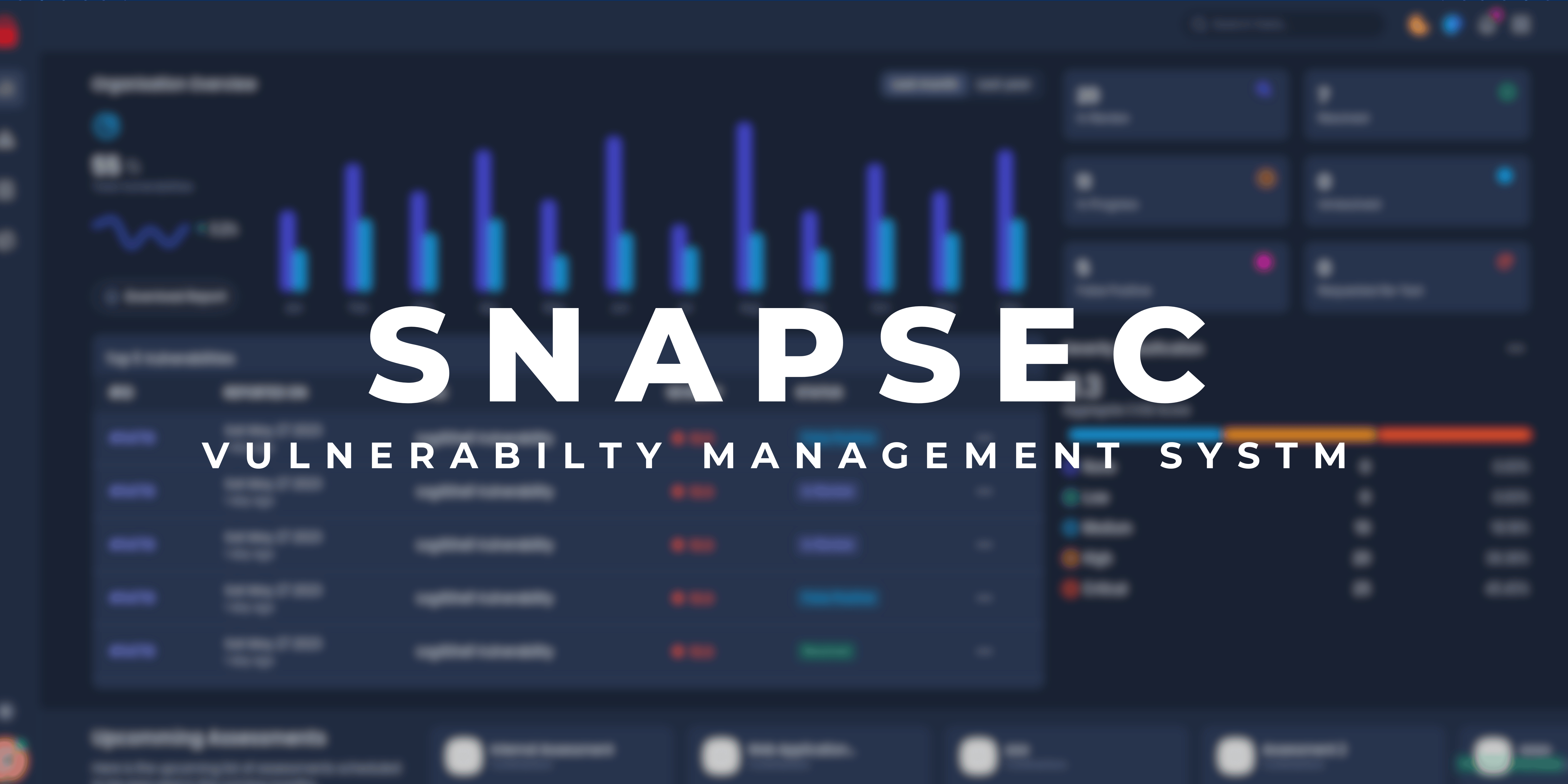 From Detection to Resolution: Streamlining the Vulnerability Management Lifecycle